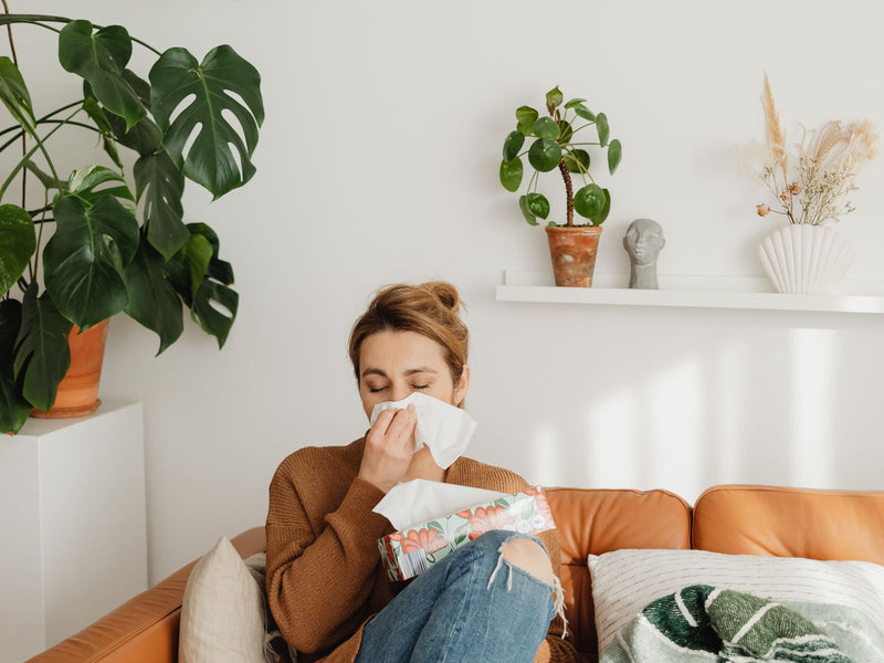 Woman on a sofa in a plant-filled living room using a tissue for allergy symptoms